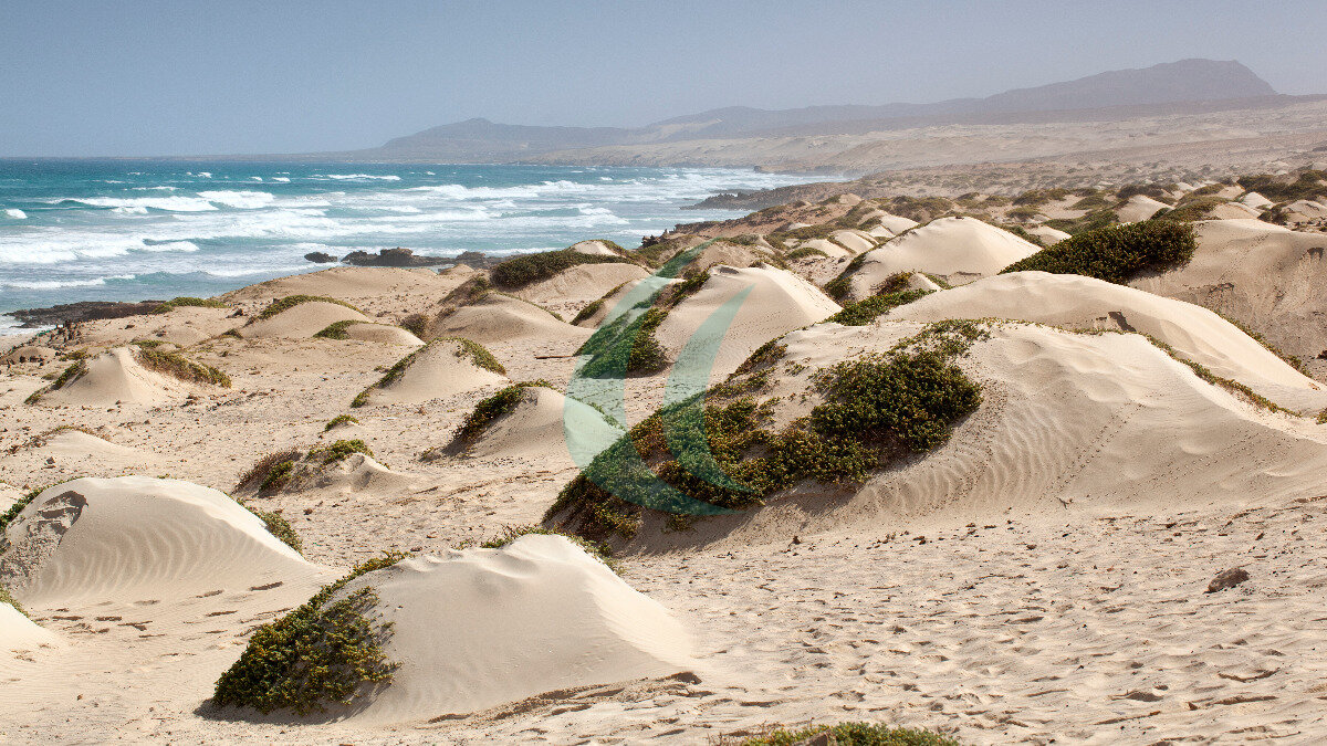 Landschaft mit Sanddünen und dem Atlantischen Ozean im Hintergrund nahe Cabo Santa Marina auf Boa Vista, Kap Verde