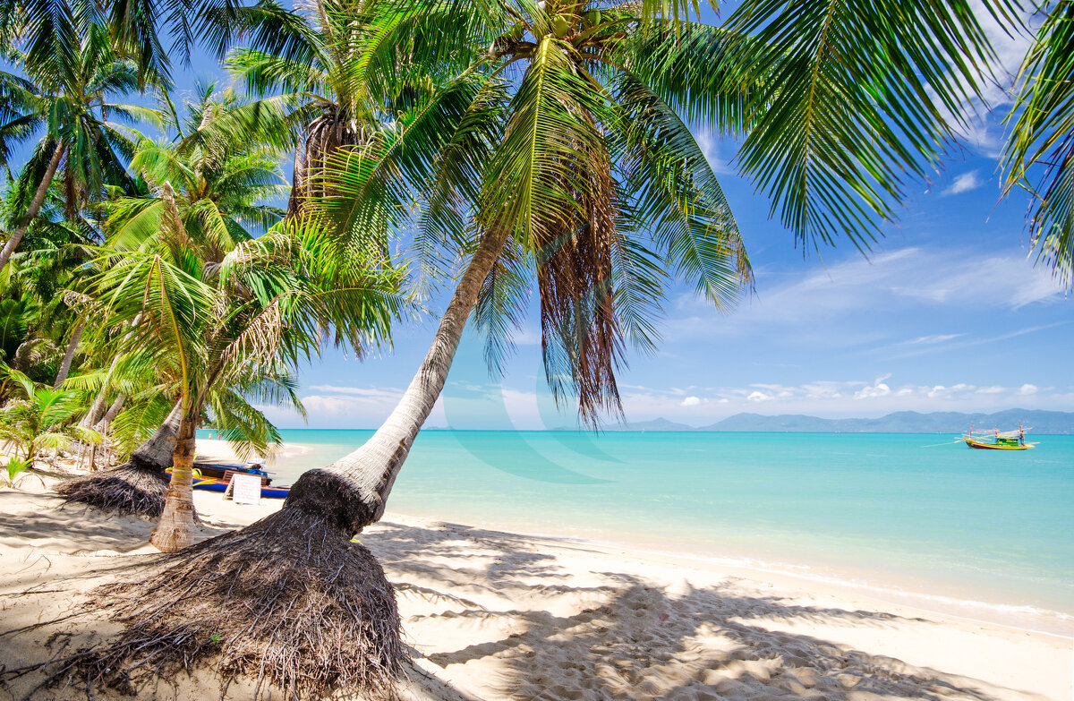 Chaweng Beach auf Koh Samui / Thailand