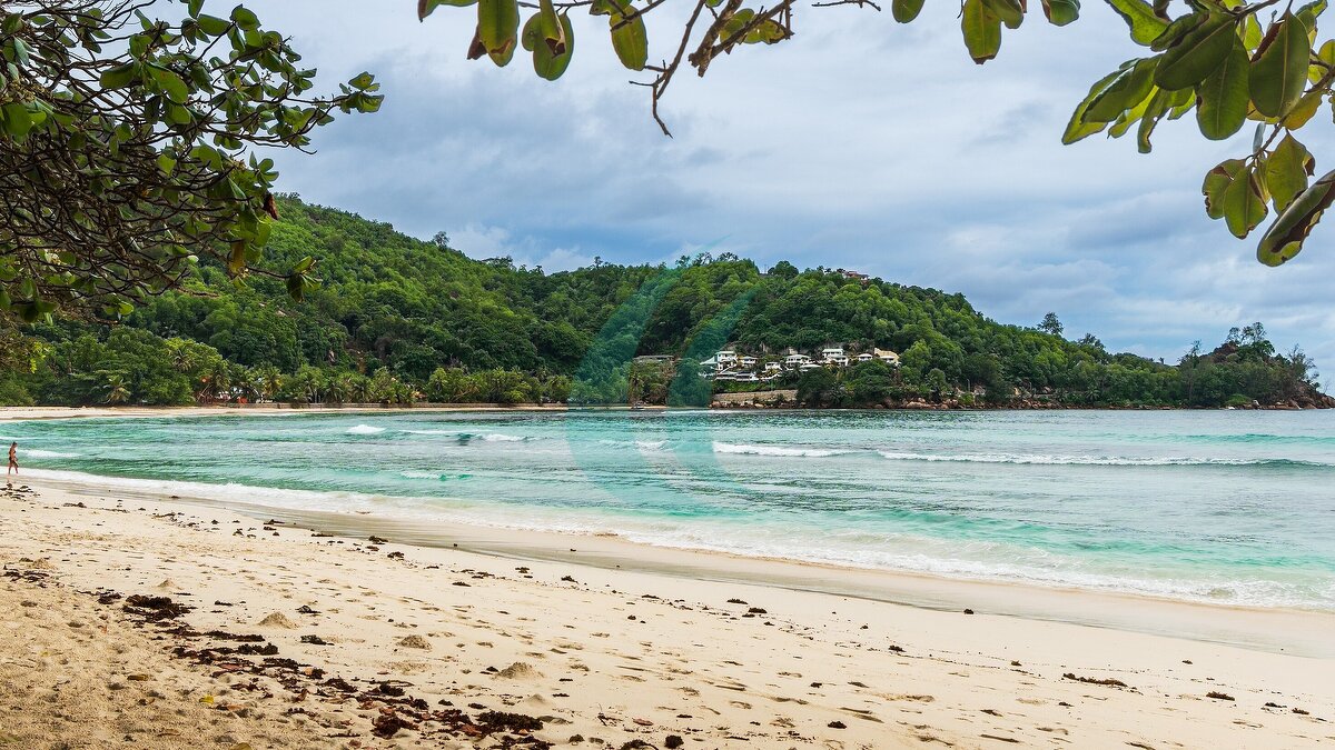 Tortola