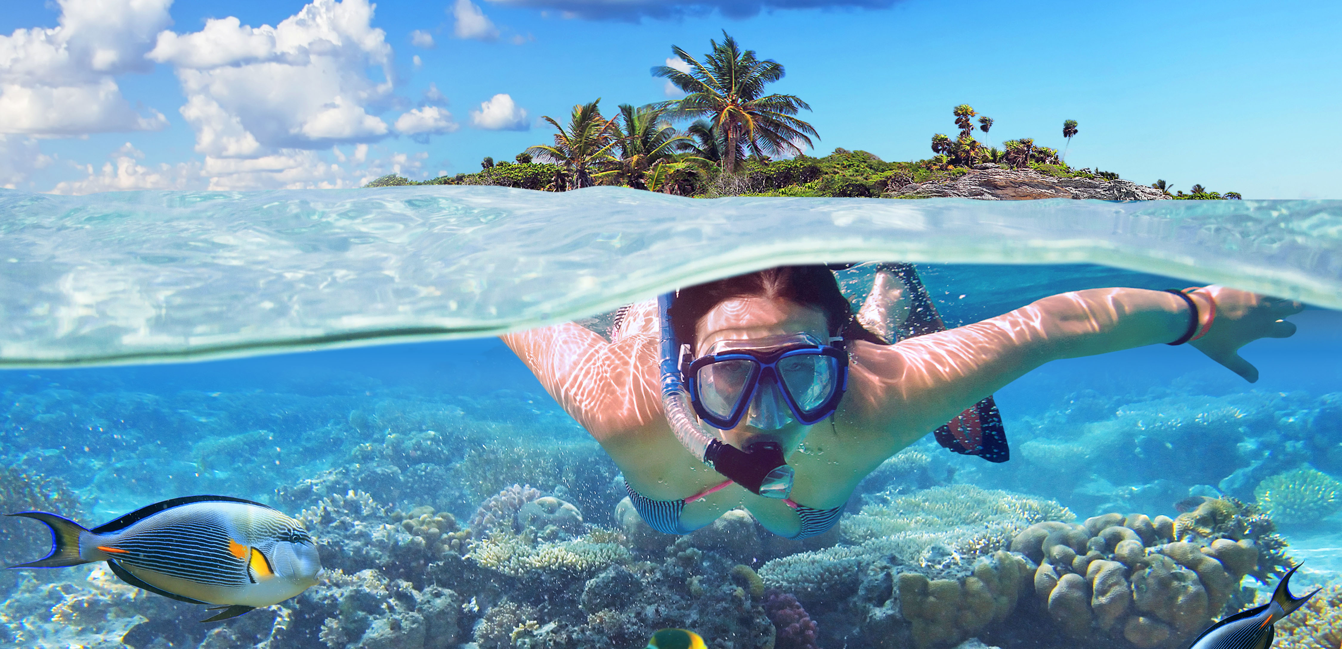 Unterwasser vor St. Perre Island/Seychellen - Adobe Stock - Patryk Kosmider