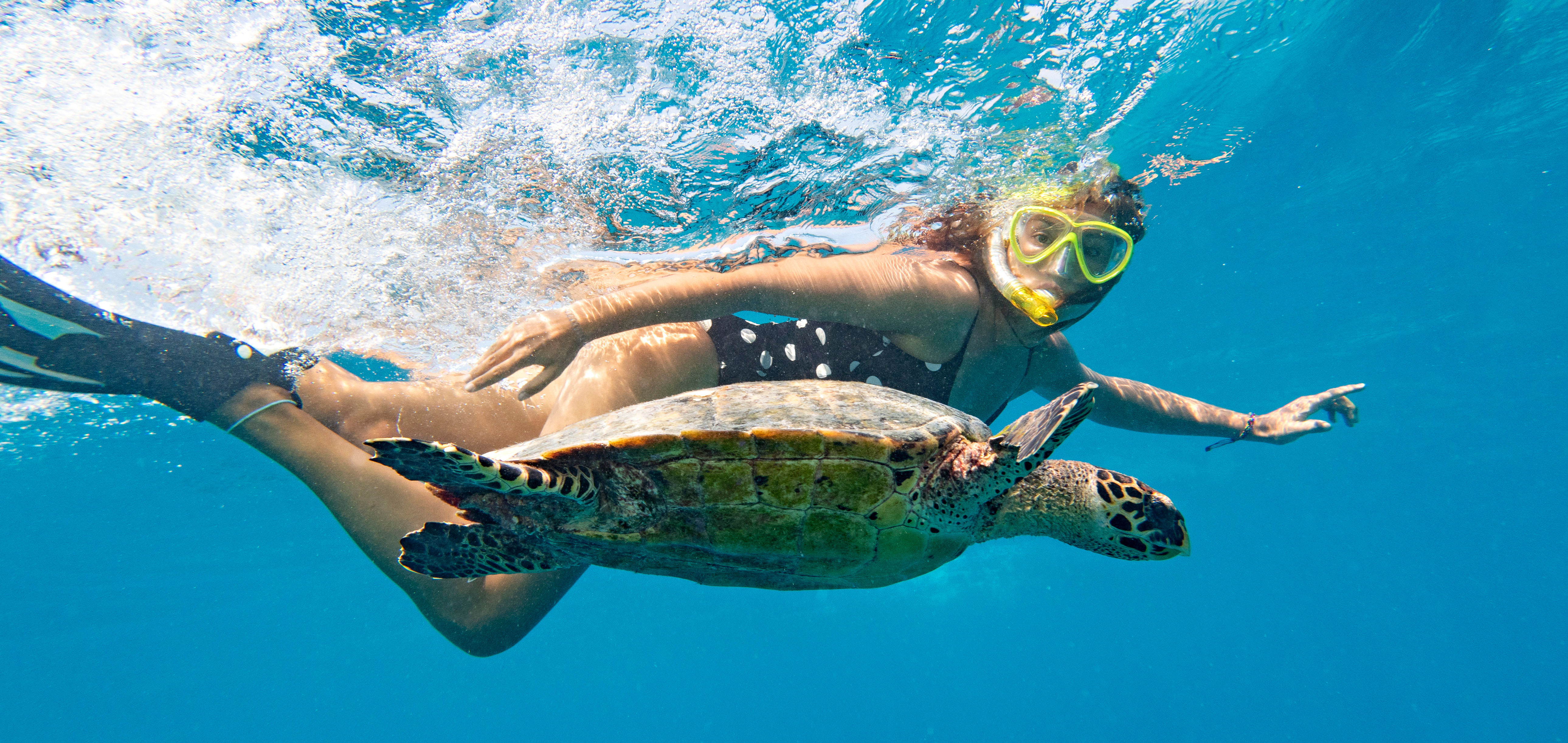 Schnorcheln mit Meeresschildkr&ouml;ten / Seychellen - Adobe Stock - Natalia 